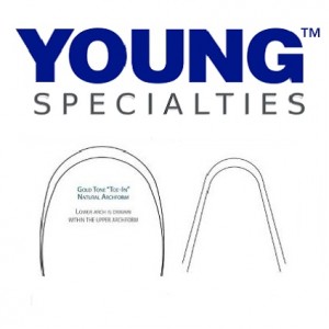 Young Specialties Stainless Steel