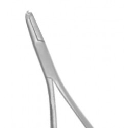 p-item-1