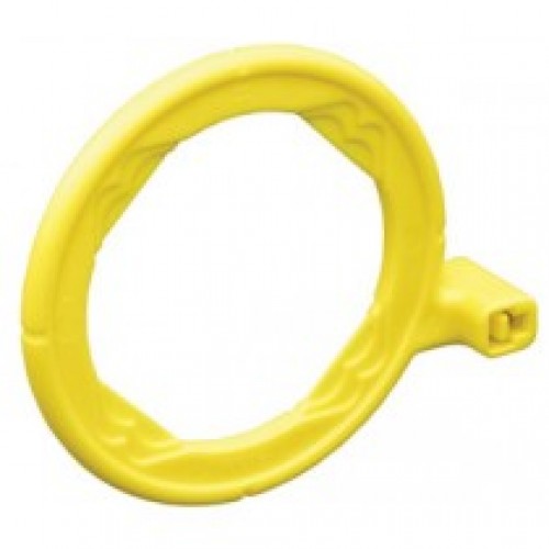 Posterior Ring Yellow