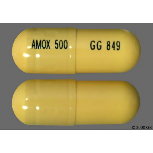 Amoxicillin 500mg 100/Bottle
