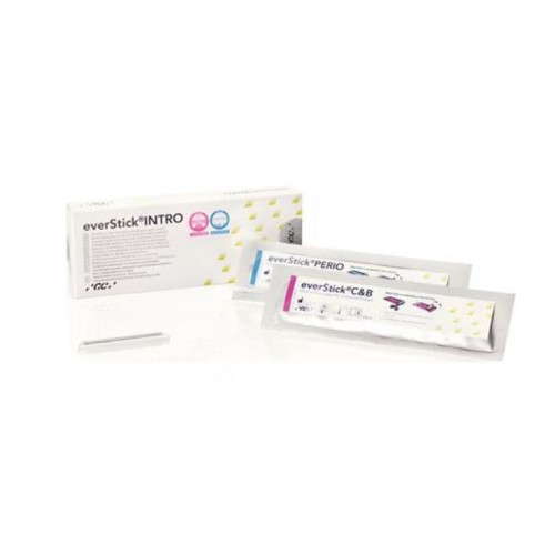 everStick Intro Kit
