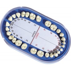 p-item-1