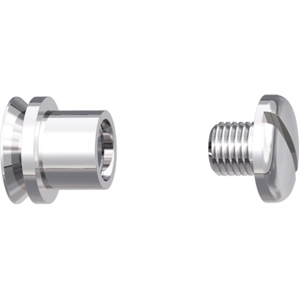 Slotted Screw With Pivot - 10 pairs