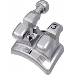 p-item-1-hover