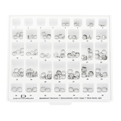 Medium-Assortment Dentaform® Bands, 1st Molar, Unwelded - 150 Pieces