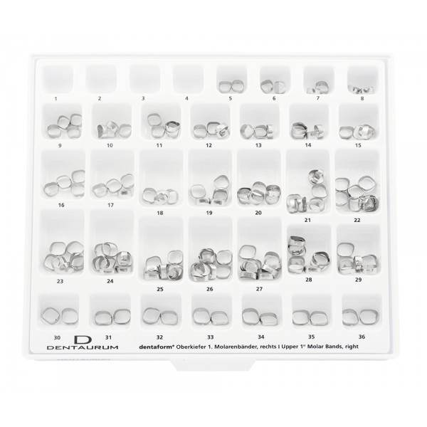 Mini-Assortment Standard Bands, Cuspid, Mandibular, Unwelded - 42 Pieces