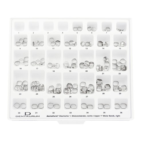Medium-Assortment Standard Bands, 1st And 2nd Molar, Unwelded - 150 Pieces