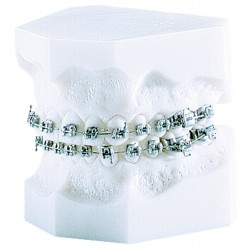 p-item-1