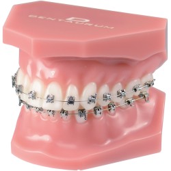 p-item-1