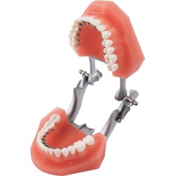 p-item-1