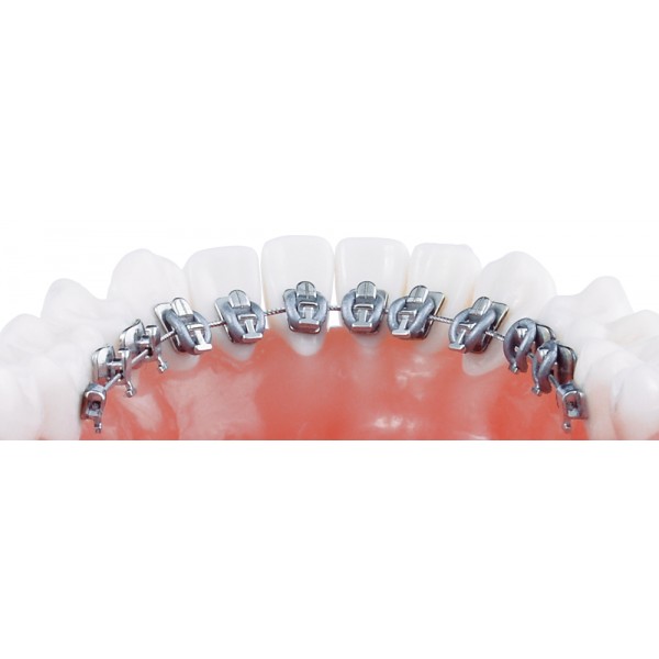 Orthodontic Demonstration Model Discovery ® Delight - 1 piece