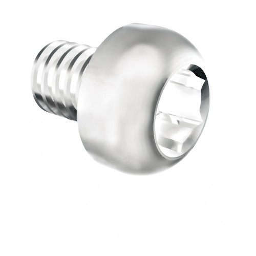 OrthoEasy Retaining Screw For Palatal Pin
