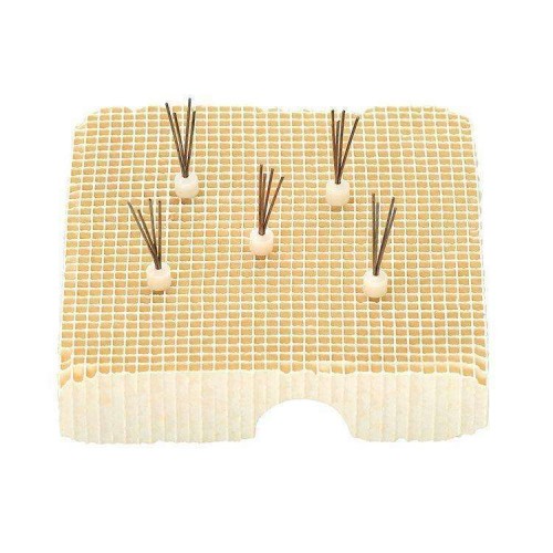 V Pegs