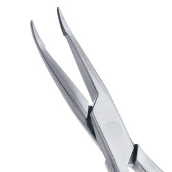 p-item-1