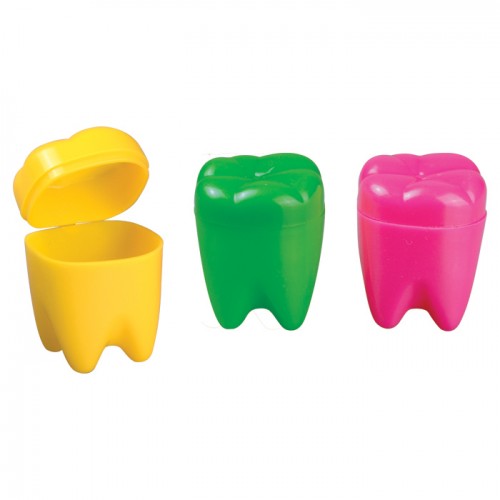 1.25" Rainbow Tooth Holders - 72/pk