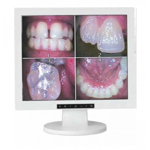 17” LCD Monitor (Multimedia)