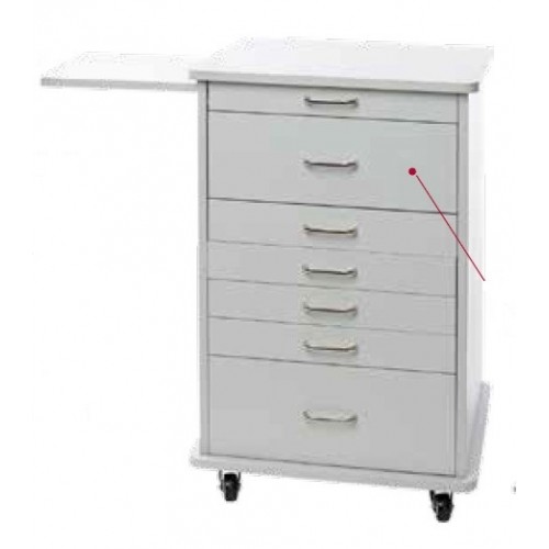 Assistant’s “North Carolina” Mobile Cabinet RT pull out