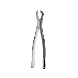 p-item-1