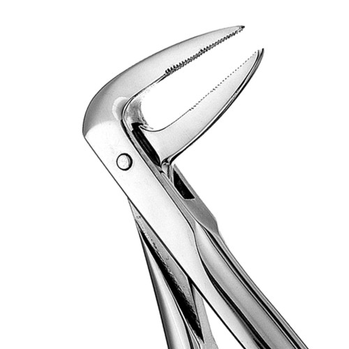 233 European Root Forceps, Serrated, FX233