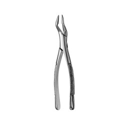 p-item-1