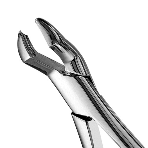 53L Forceps, F53L