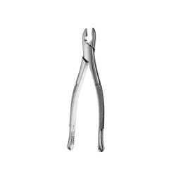 p-item-1