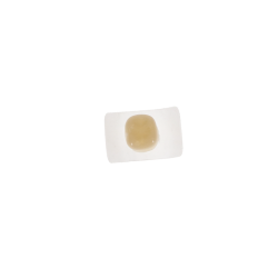 p-item-1-hover