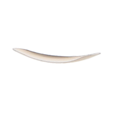 p-item-1-hover